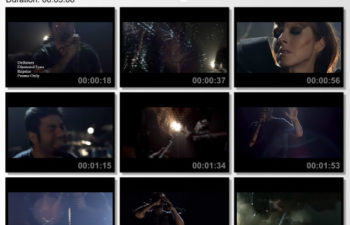 Deftones — «Diamond Eyes» (promo only) (DVD)