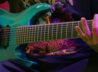 Стивен Карпентер исполняет на гитаре «Pompeji»