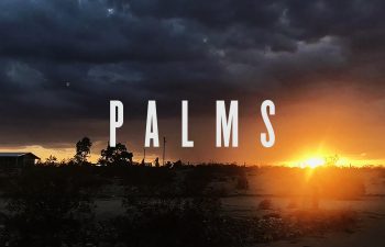 Проект Palms представил два ранее не издававшихся трека