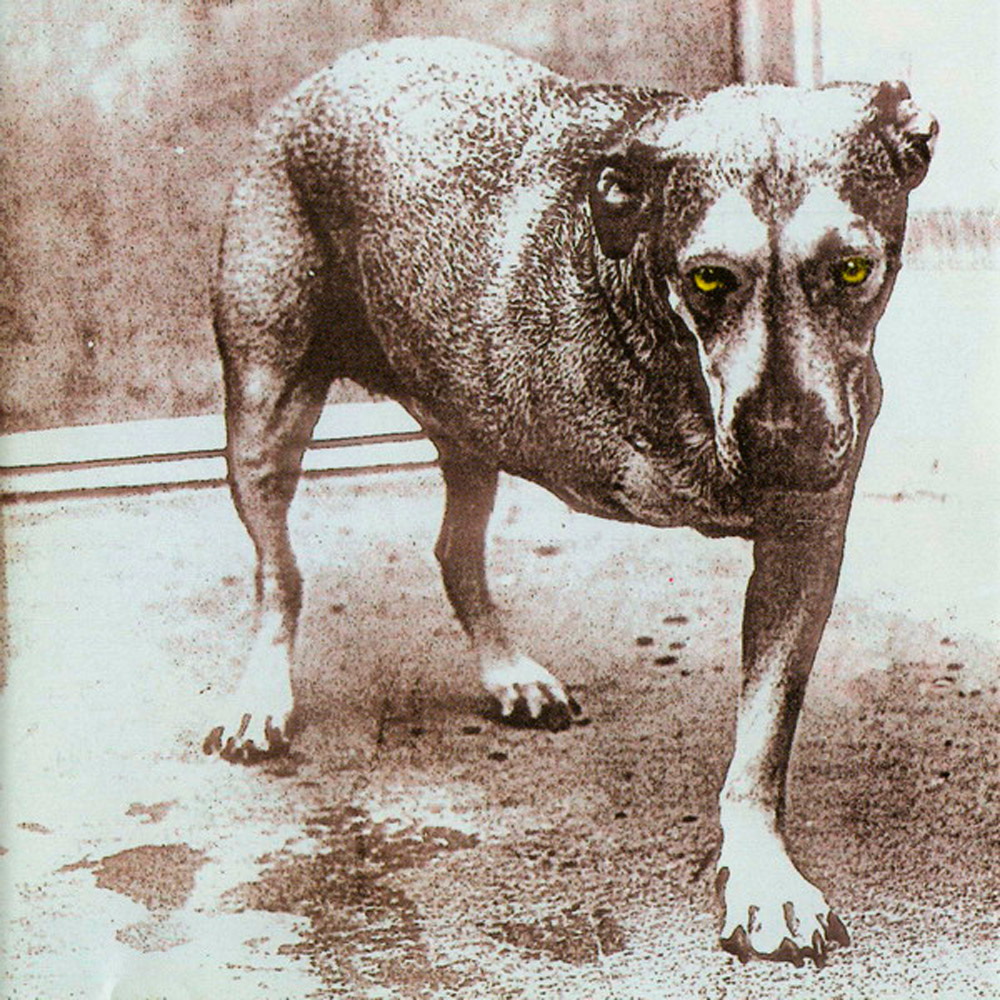 Alice in Chains — «Alice in Chains» (1995)