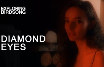 Exploring Birdsong — «Diamond Eyes»